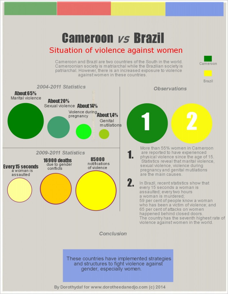 Datacollection_violence_gender_cameroon_brazil